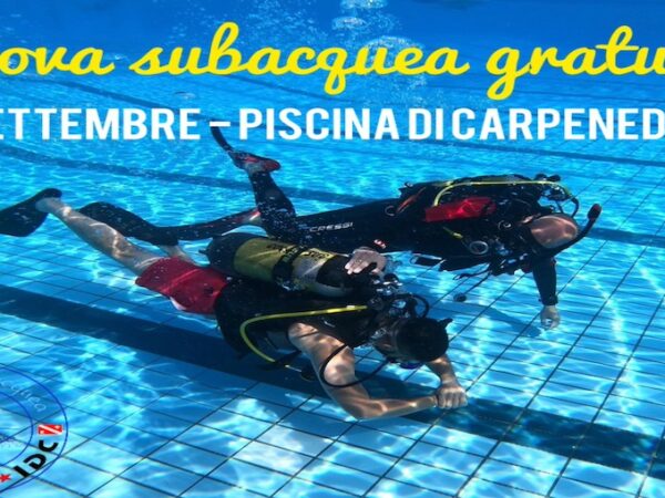 Prove gratuite di Immersione subacquea domenica 08/09/2024